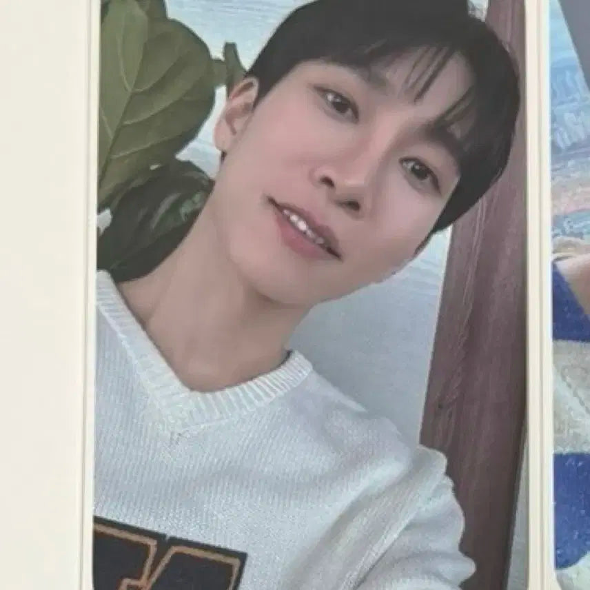 비투비 서은광 럽투데이 케타포 영통 미공포