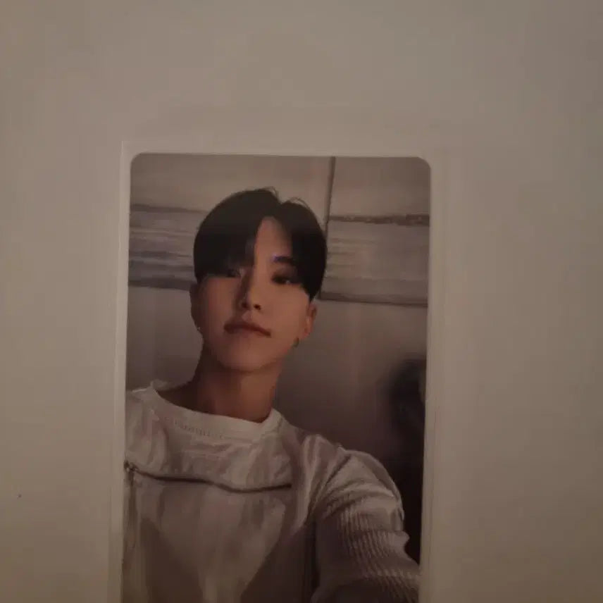 세븐틴 호시 fml 럭드