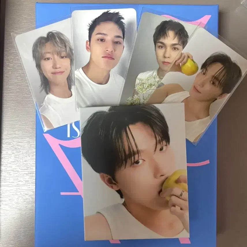 세븐틴 17 is right here 캐럿반 디노 판매