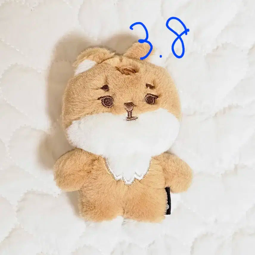 데이식스 데니멀즈 쁘멀 인형 케