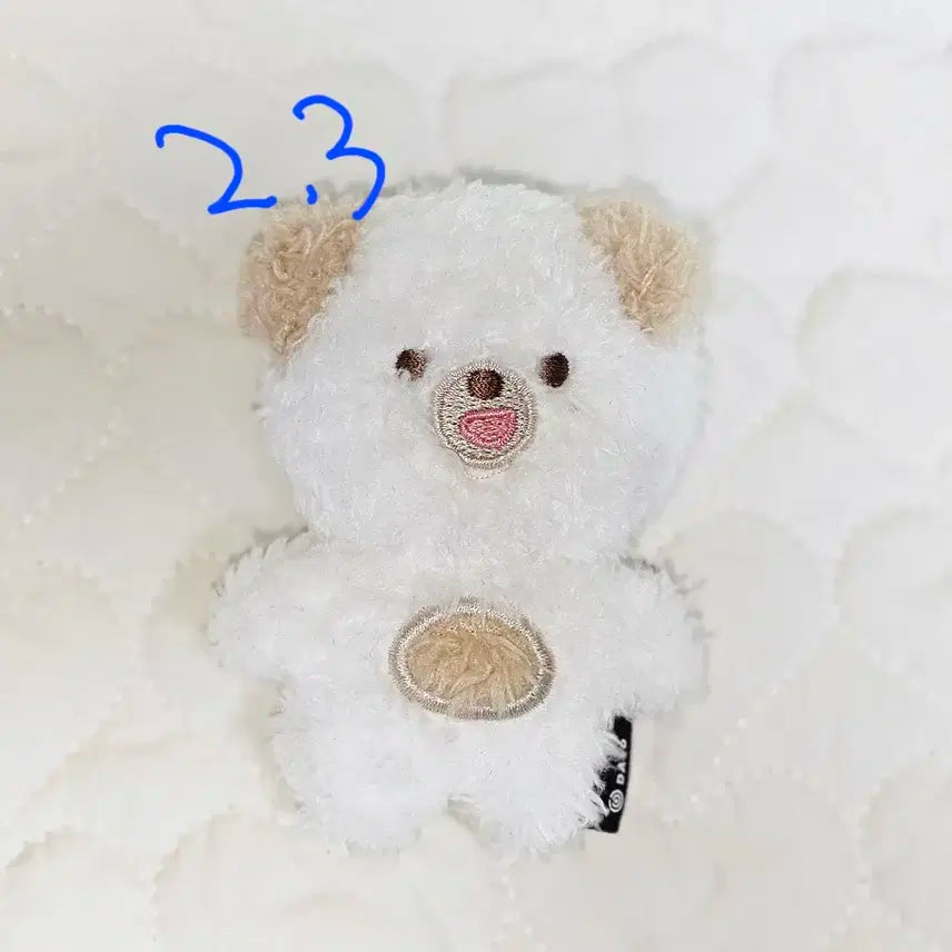 데이식스 데니멀즈 쁘멀 마그넷 돈