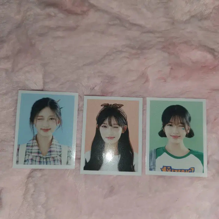 폭덤)2025 아이브 시즌그리팅