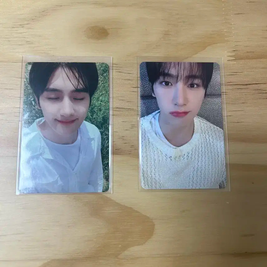 더보이즈 현재 포카 팔아요
