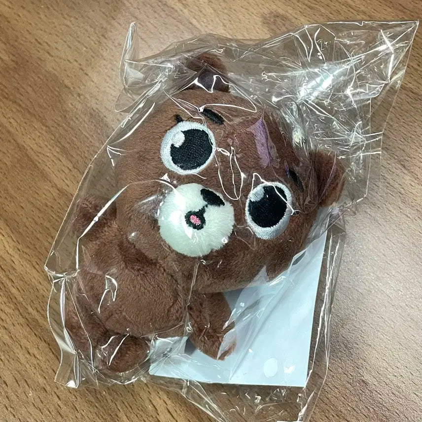 데이식스 데니멀즈 일본 방 백참 10cm