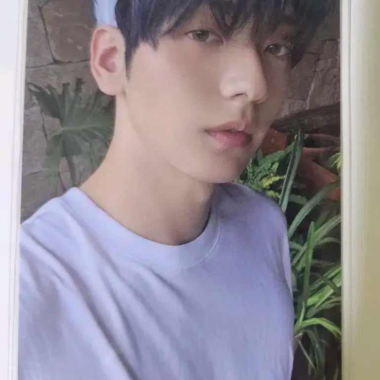 투바투 생츄어리 엔젤 앨포 수빈
