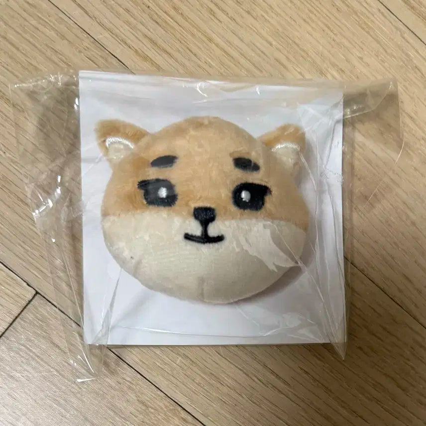 데이식스 영케이 일본 엠디 데니멀즈 케 뱃지