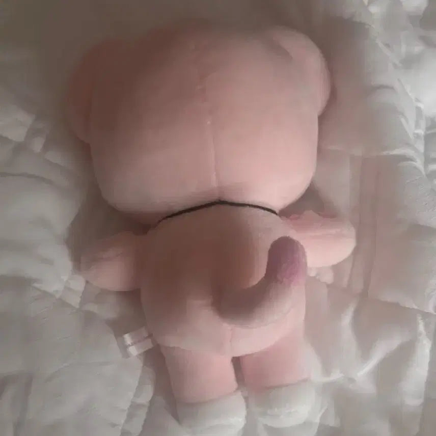 원가아래))아이브 미니브 이랑이 양도