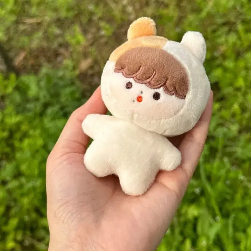 엔시티 지성 인형 뽀송이 양도