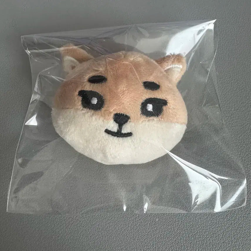 데이식스 일본 뱃지 케