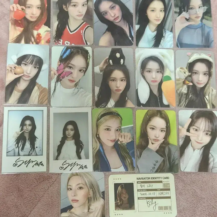 엔믹스 설윤 해원 배이 지우 릴리 미공포 포카 양도 럭드