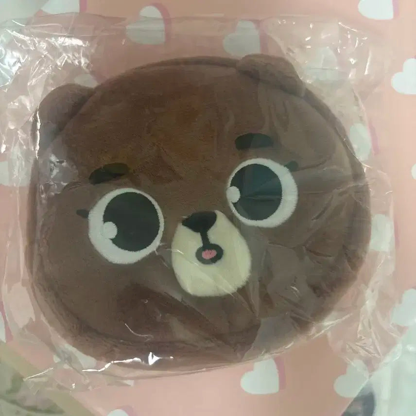 데이식스 포에버영 일본 엠디 데니멀즈 페이스 파우치 방