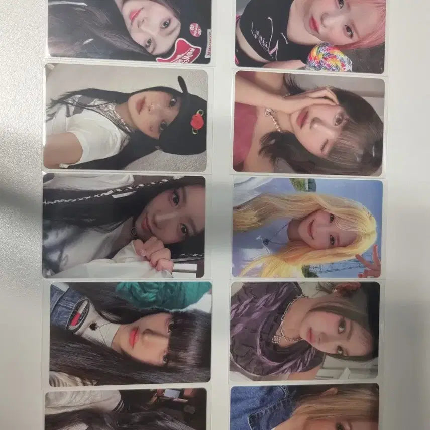 세이마이네임 앨포 양도합니다