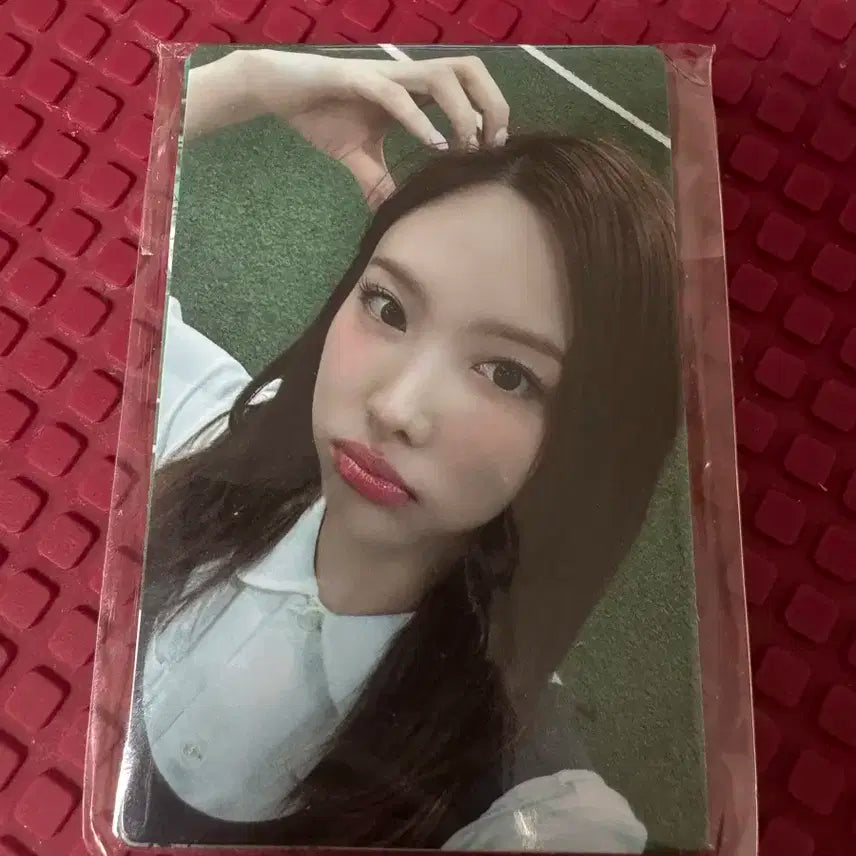 트와이스 팬미팅 포토카드