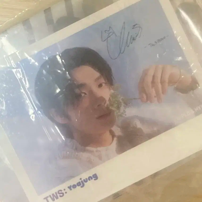 투어스 요아정영재