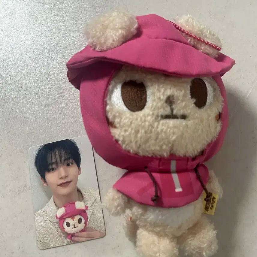 크래비티 어텀 크크루 랑모 구정모 판매