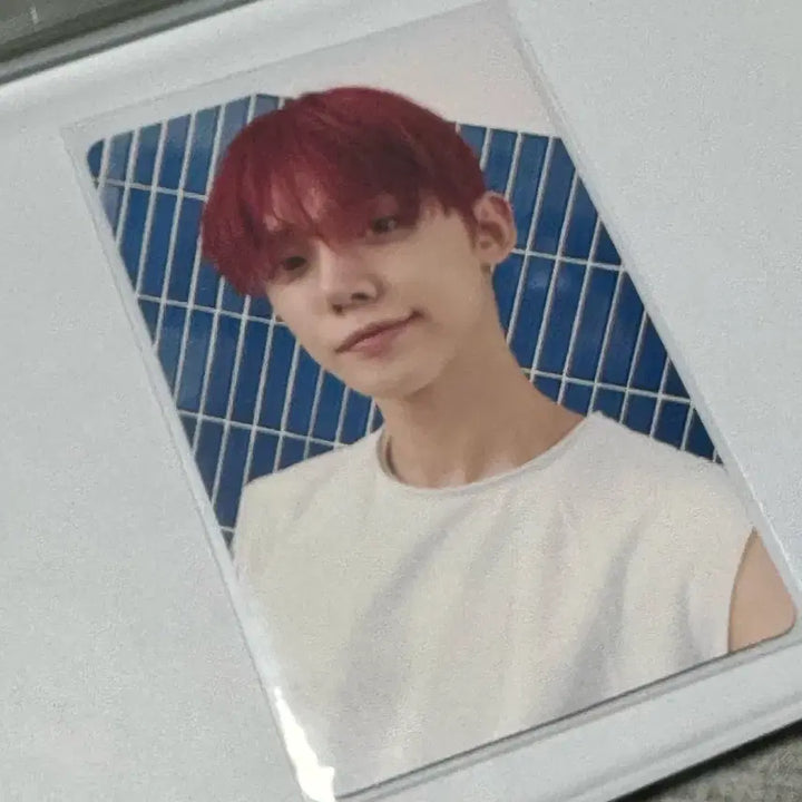 (급처) 투바투 txt 생츄어리 위버스 B 연준 포카 양도 판매