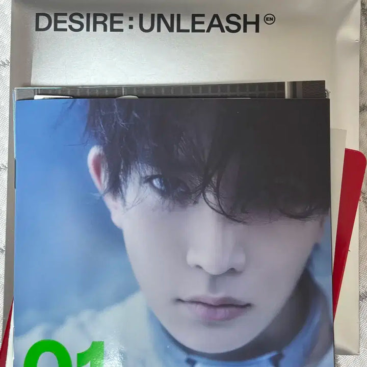 엔하이픈 희승 디자이어 언리쉬 desire unleash 엔진반