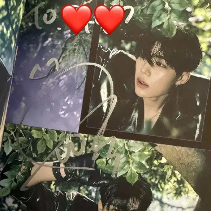 제로베이스원 박건욱 싸인앨범 양도해요 제베원 건욱