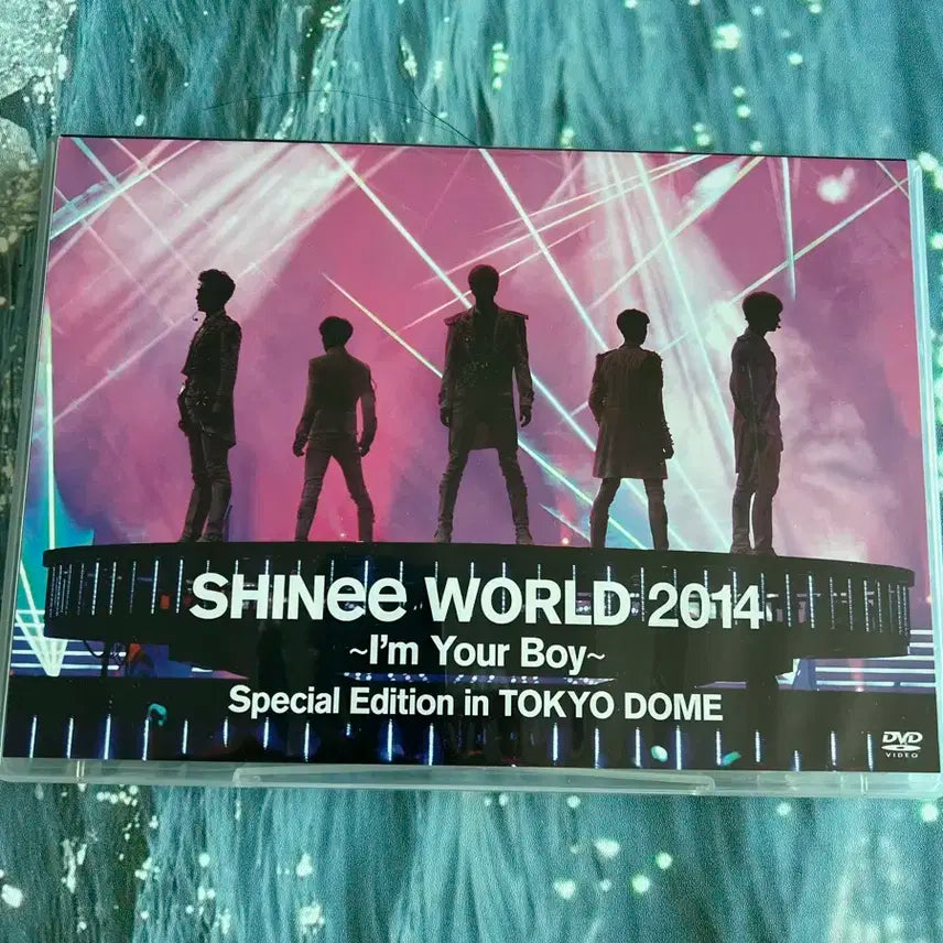 샤이니 도쿄돔 스페셜 2014 Im your boy