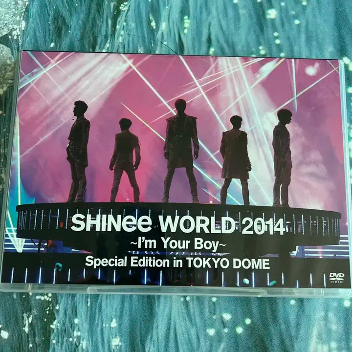 샤이니 도쿄돔 스페셜 2014 Im your boy