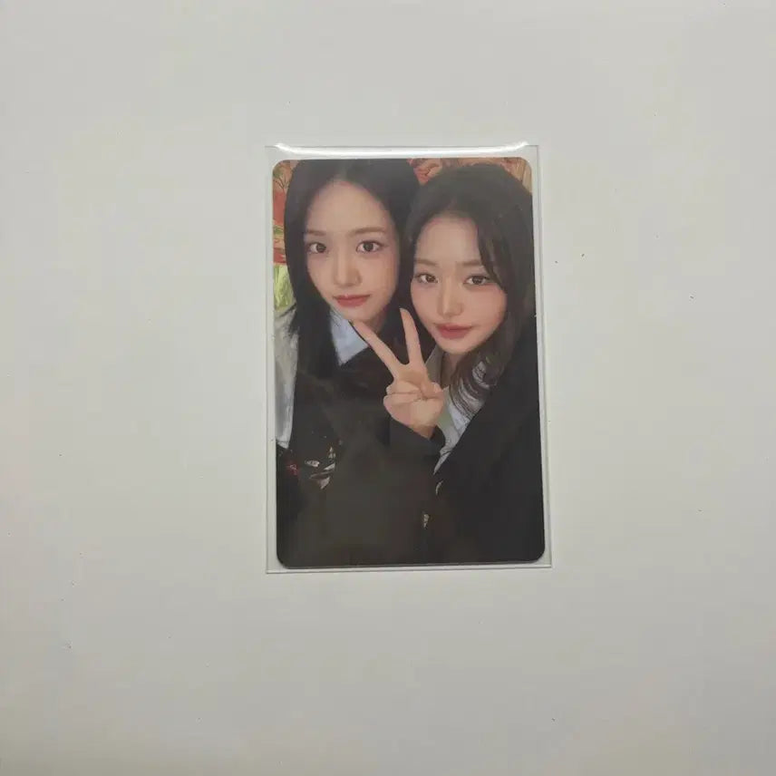 아이브 스카우트 랜덤팩 안녕즈 유닛 포카