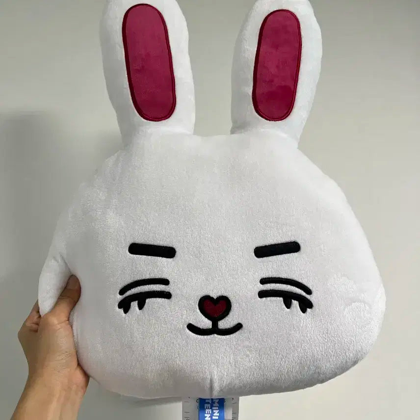 세븐틴 미니틴 최체리