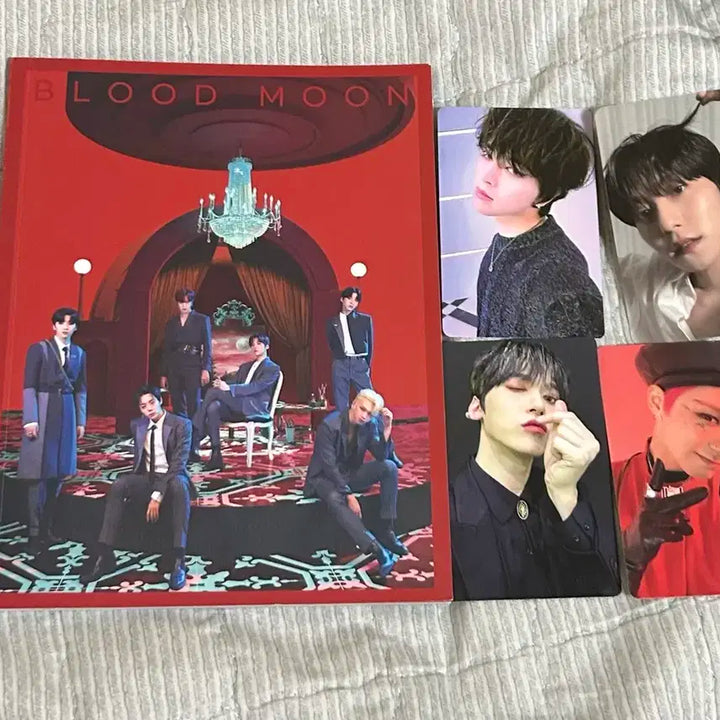 원어스 포카&앨범