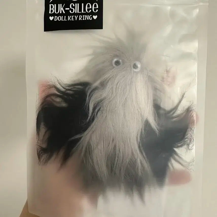 샤이니 키 키랜드 북실이 키링 미개봉