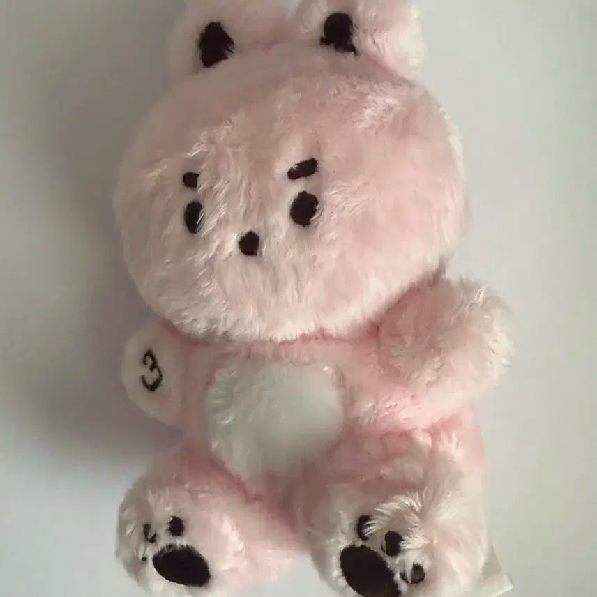 데이식스 원필 10cm 인형 콩피리