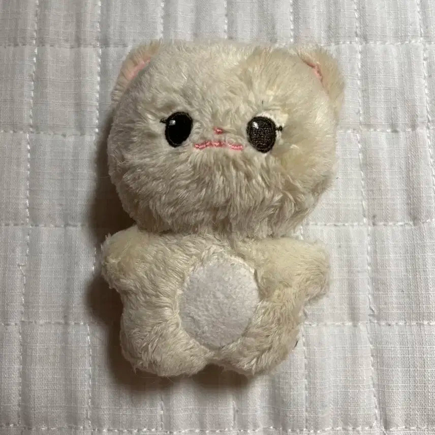 안땅콩 판매
