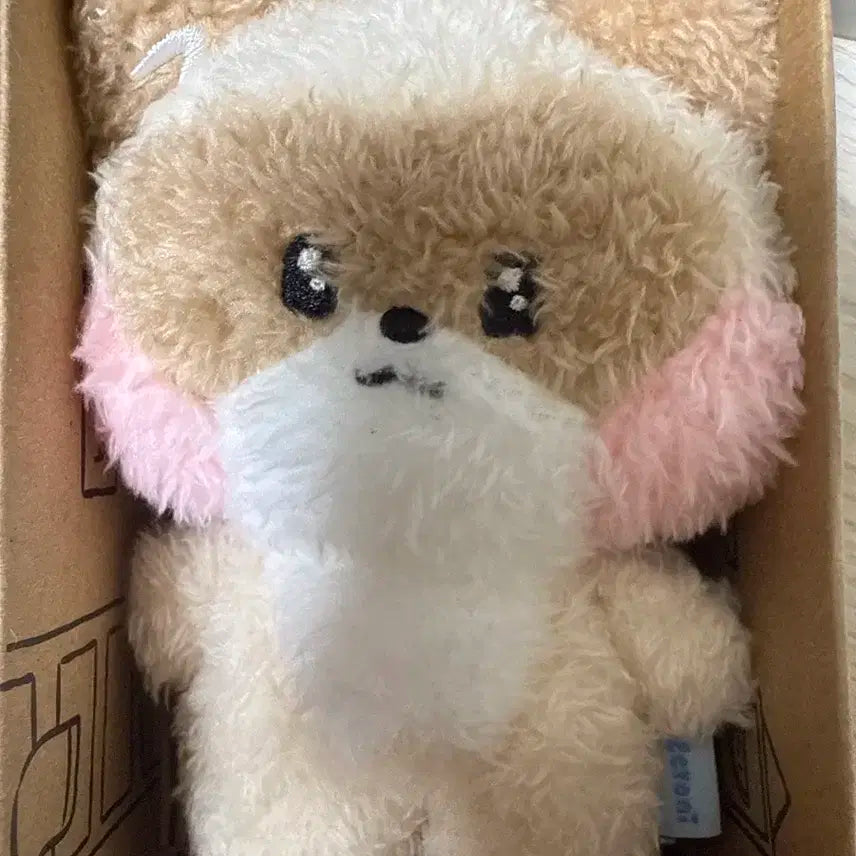 제베원 장하오 인형