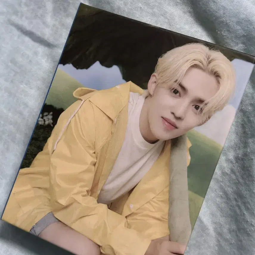 세븐틴 에스쿱스 음악의신 캐럿반 팔아요
