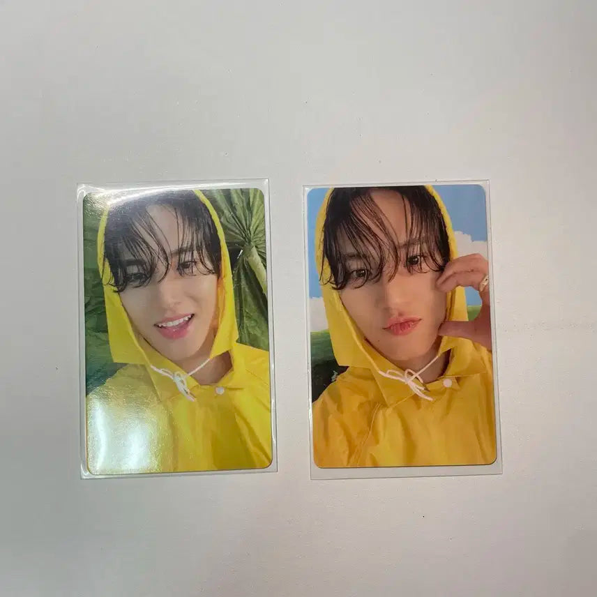 장당 0.6 세븐틴 헤븐 캐럿반 랜포 민규