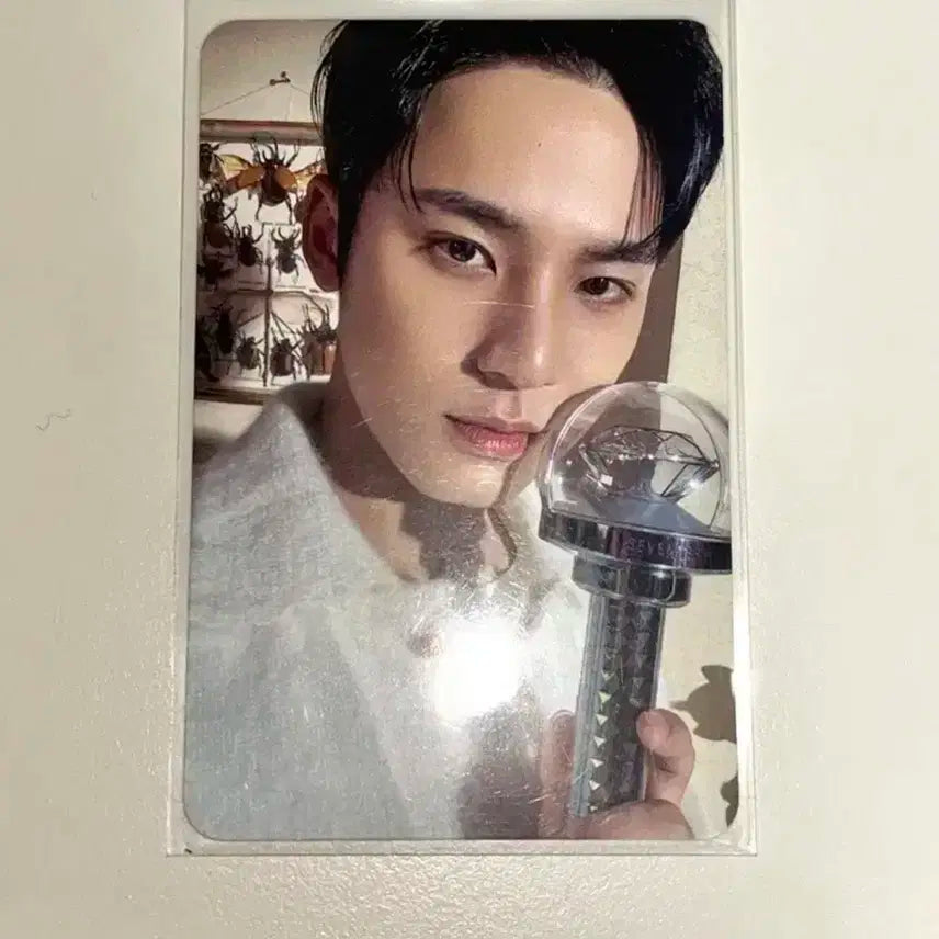 세븐틴 2024 캐럿랜드 캐럿존 민규 포카