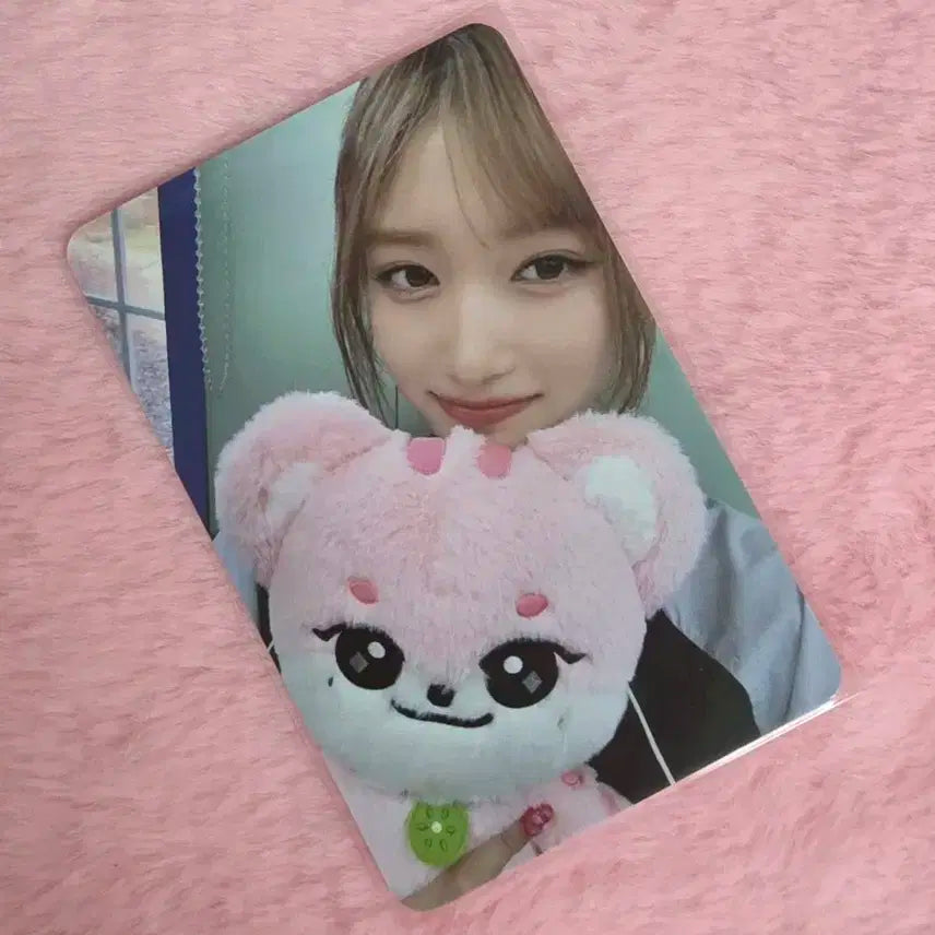 인형 포함) 아이브 이서 미니브 30cm 이랑이 플러피 포카 양도합니다