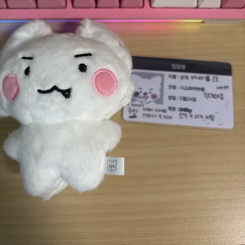 플레이브 은호 인형 암긍개+키링