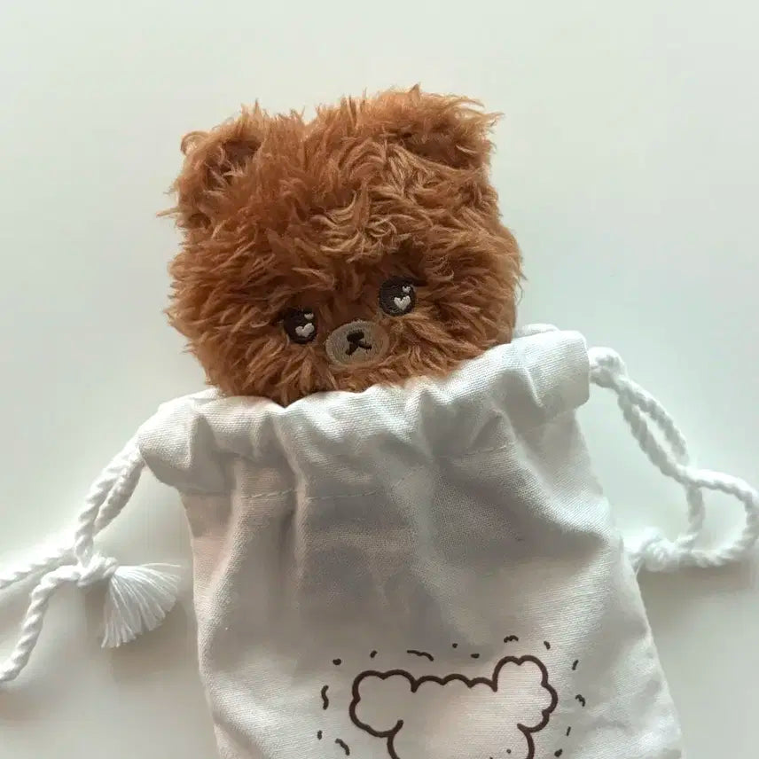 엔시티 해찬 10cm 인형 양도