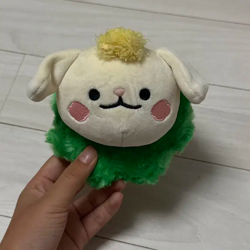 크래비티 정모 싸폴(가격내림)