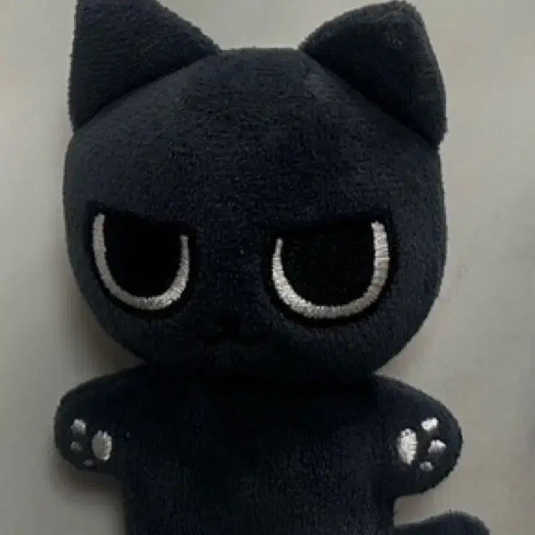 구버전 직냥이