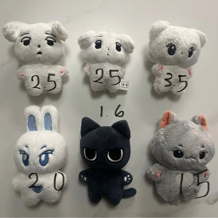 구버전 직냥이