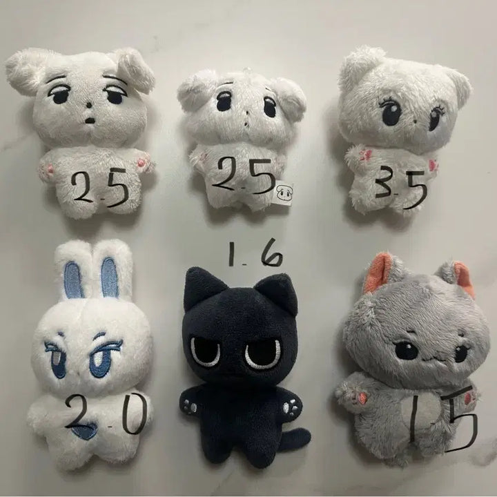 구버전 직냥이