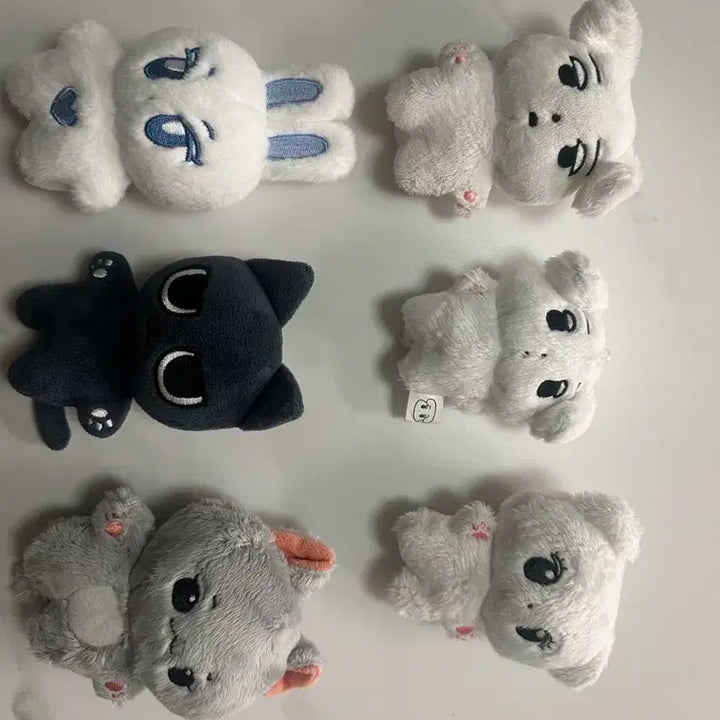 구버전 직냥이