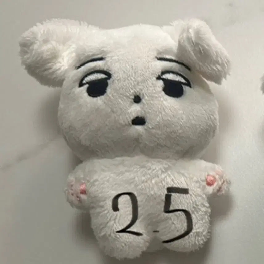 구버전 직냥이