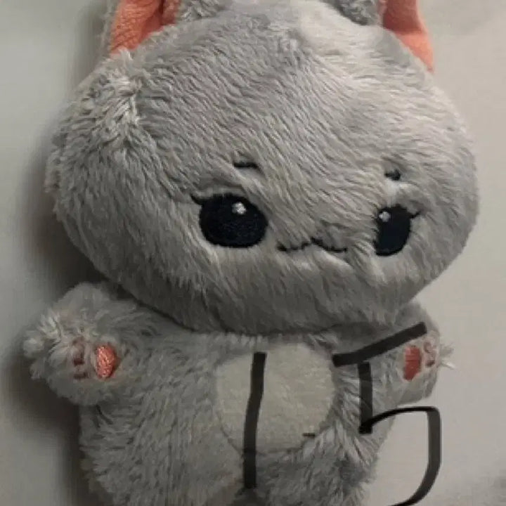구버전 직냥이