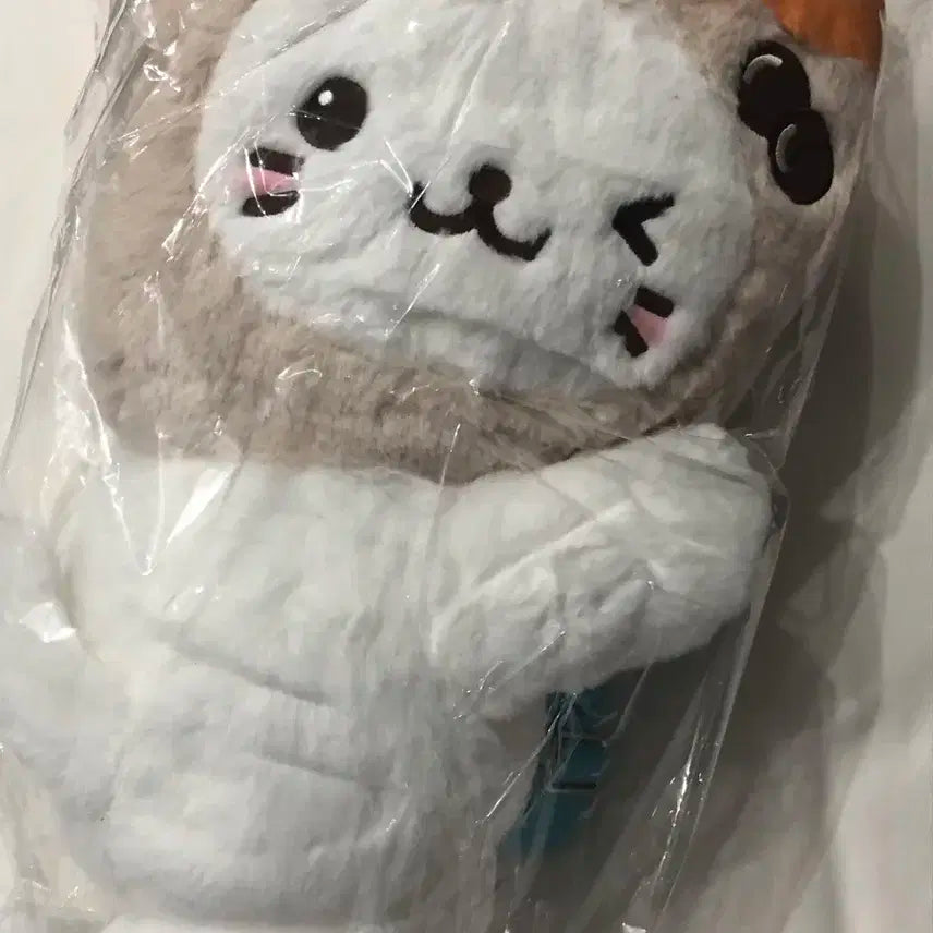 버블냥 가방 양도 엔시티위시 유우시 로그인 엠디