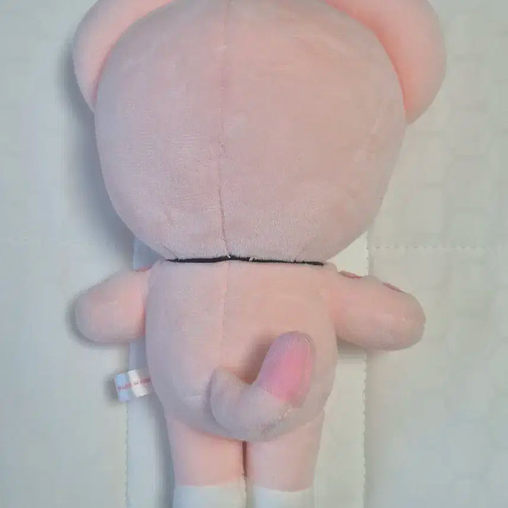 아이브 미니브 이랑이 판매