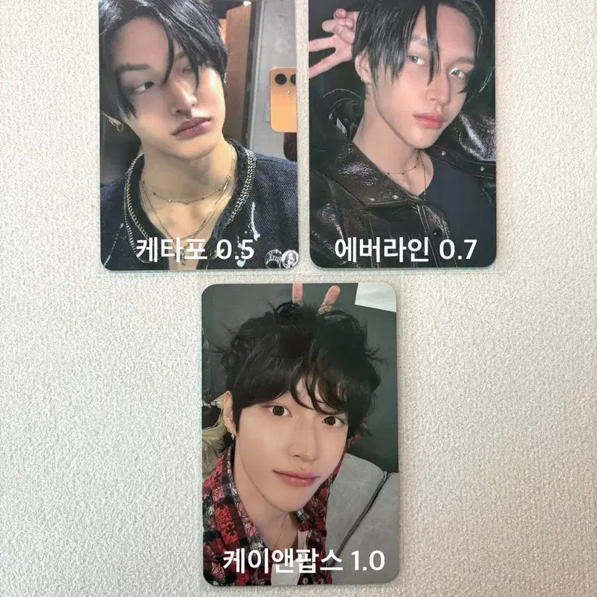 라이즈 원빈 케타포 에버라인 케이앤팝스 미공포 붐붐베이스