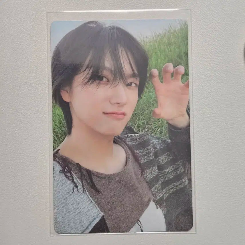 보이넥스트도어 보넥도 why 성호 포카 판매
