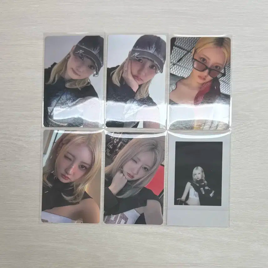 베이비몬스터 라미 포카 양도