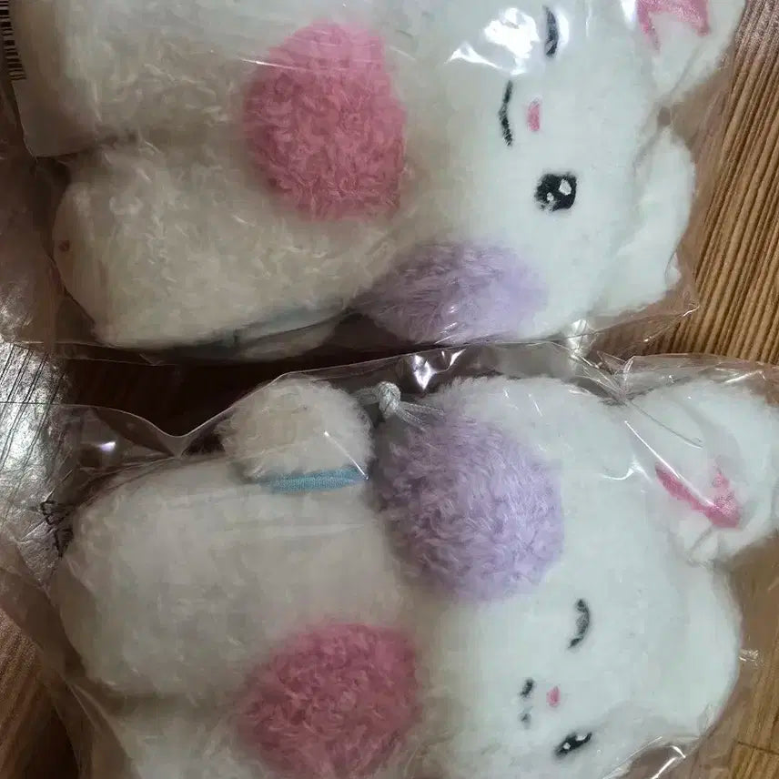 급처 제베원 제로베이스원 zb1 md 양도